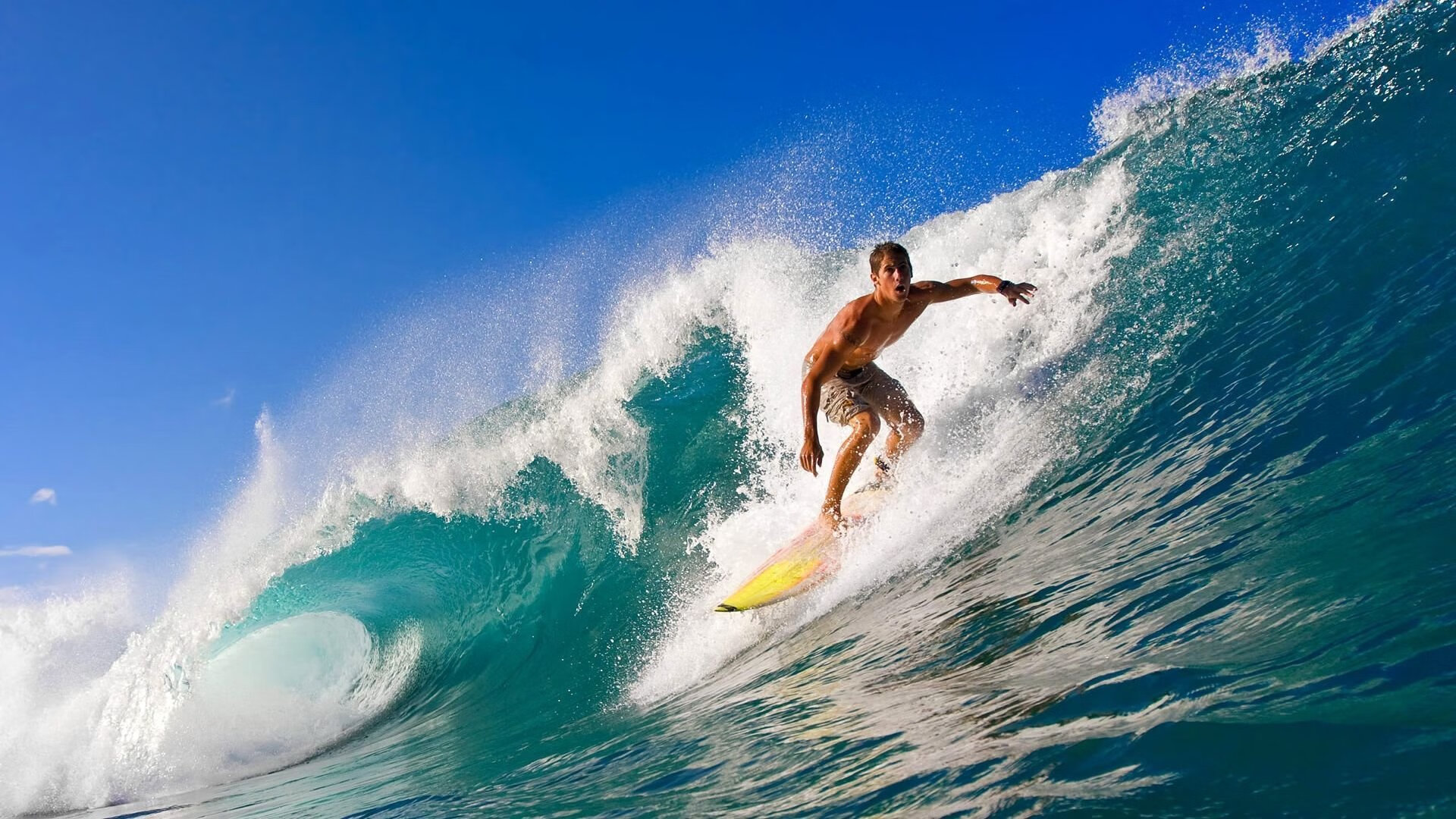 女子排球:世界锦标中国队夺魁,继续创造奇迹!,女子排球世锦赛